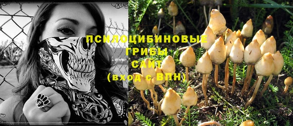 молекула духа Армянск
