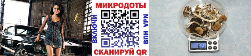 Псилоцибиновые грибы мухоморы Верхнеуральск
